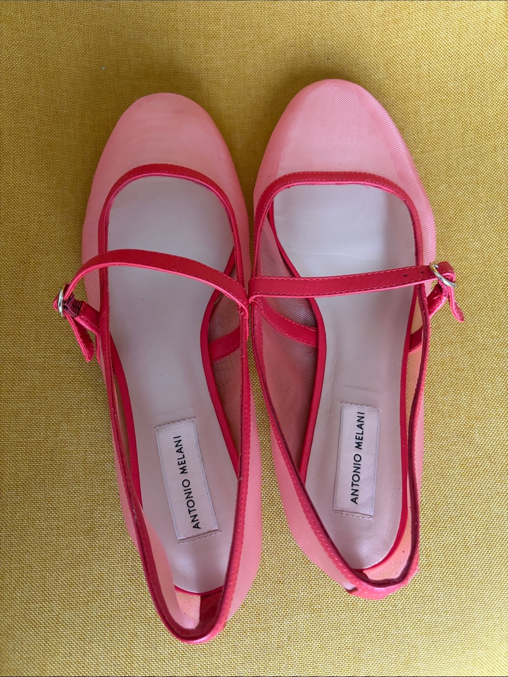 Antonio Melani red flats